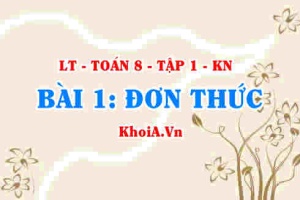 Bậc của đơn thức, Đơn thức thu gọn và Đơn thức đồng dạng là gì? Ví dụ? Toán 8 bài 1 kn1c1b1